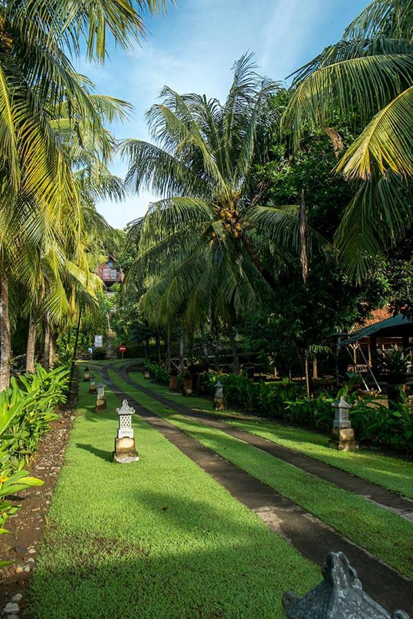 Bella Vista Premium Homestay Banyuwangi  Exterior foto